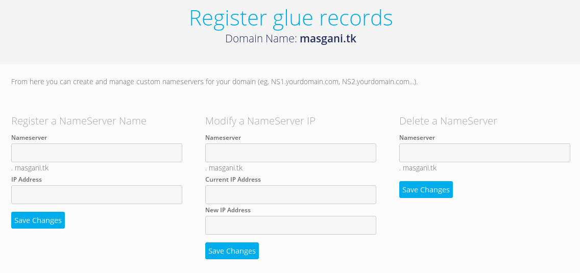 Register glue records atau nameserver