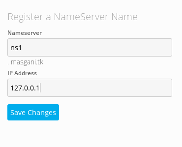 nameserver 1