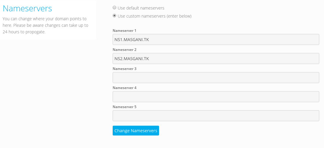 update nameserver
