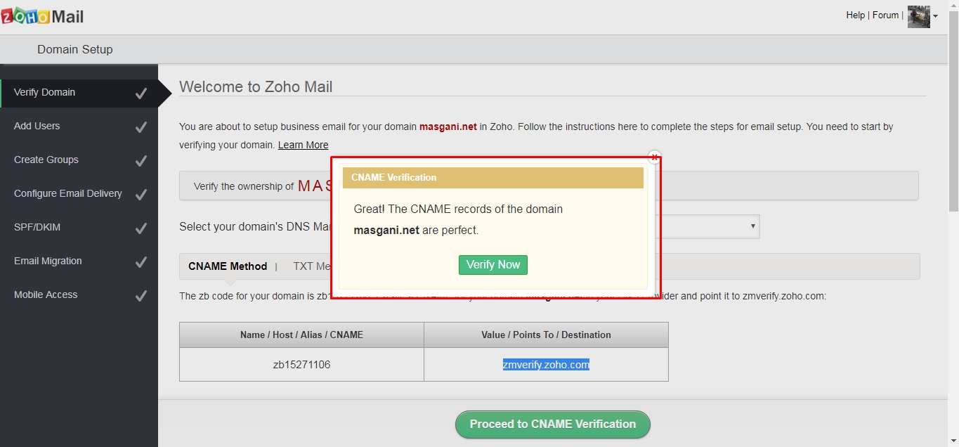 domain verfication berhasil