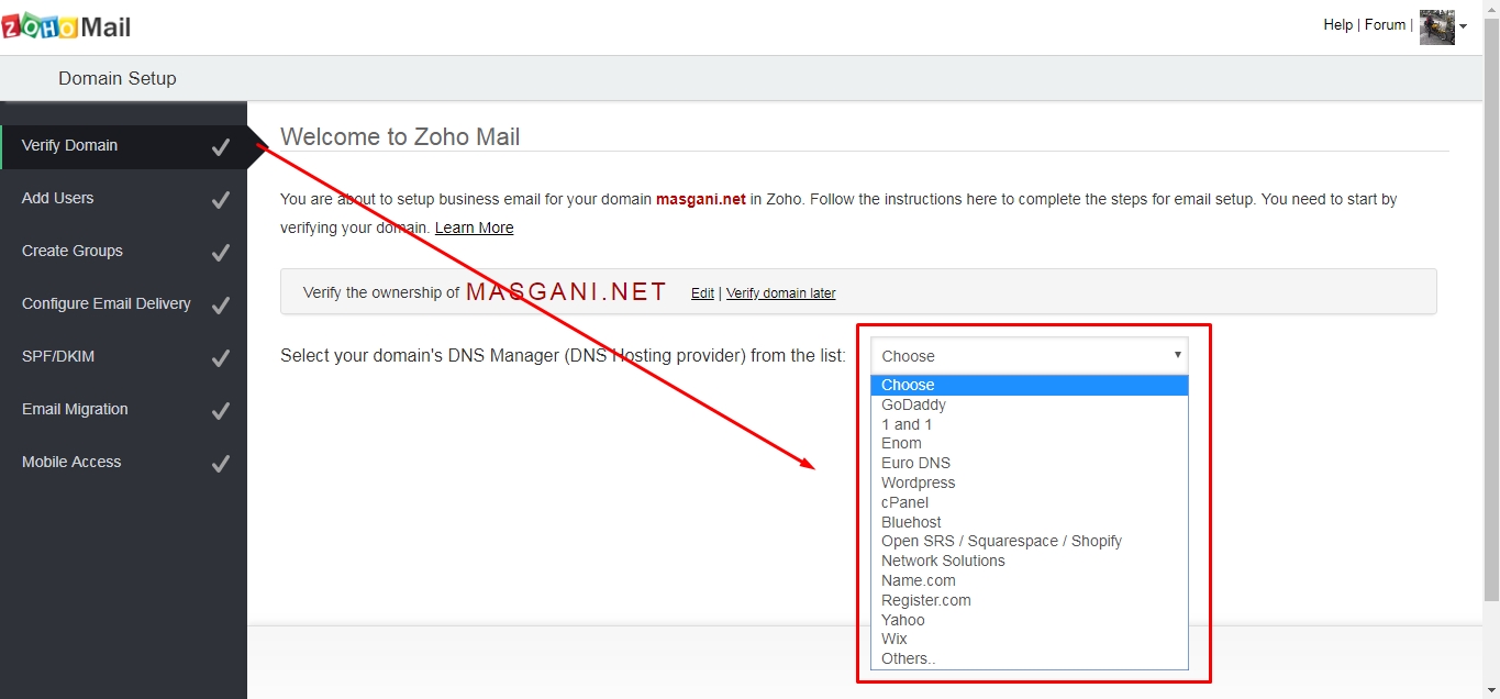 verifikasi domain